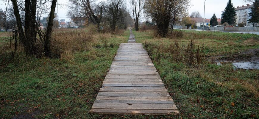 Co očekávat od podhrabové desky v Pardubicích: praktický průvodce pro domy a zahrady